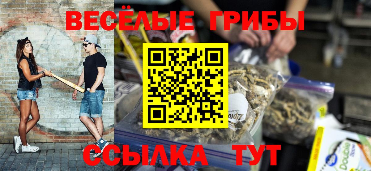 Новотроицк  Галлюциногенные грибы Magic Shrooms  Вход с VPN  Псилоцибиновые грибы прущие грибы 